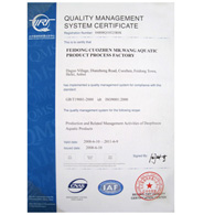 QUALITY MANAGEMENT SYSTEM CERTIFICATE